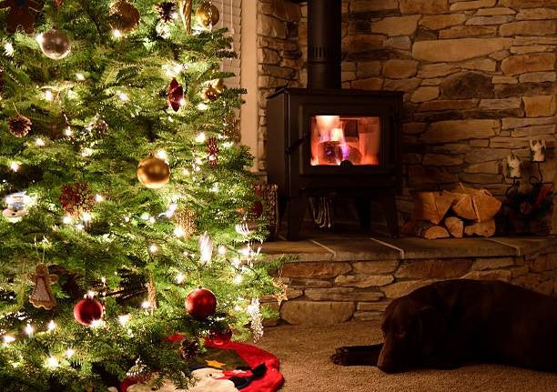 A cozy living room with a lit wood-burning stove, a decorated Christmas tree, and a sleeping dog.