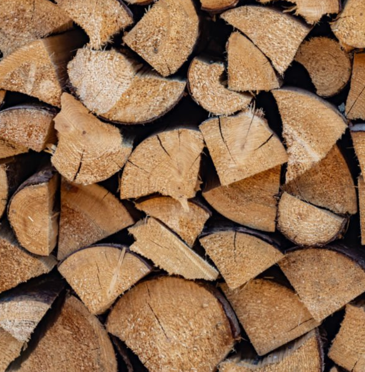 Firewood Storage 101: Keep It Dry, Safe and Pest-Free