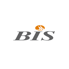BIS wood stoves and fireplaces