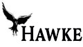 Hawke Wood Stove Glass
