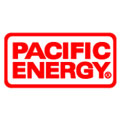 Pacific Energy Stoves Glass