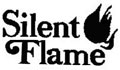 Silent Flame Stove Glass