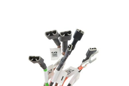 Dexen IPI Wiring Harness – Hargrove DXWH Reference - product view 3