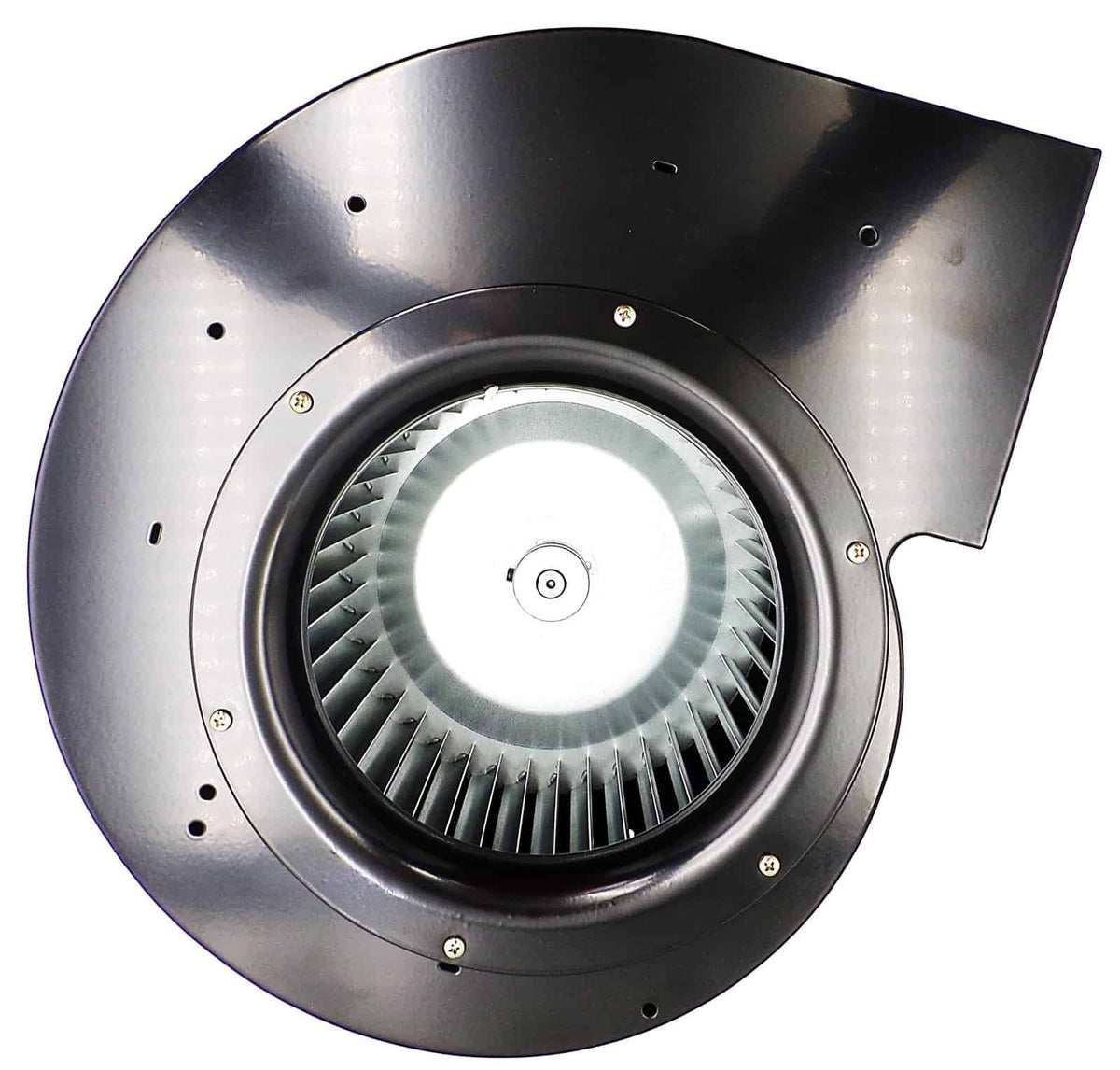 NBK-12191 Centrifugal Blower Motor | Dayton 1TDT5 - view 4