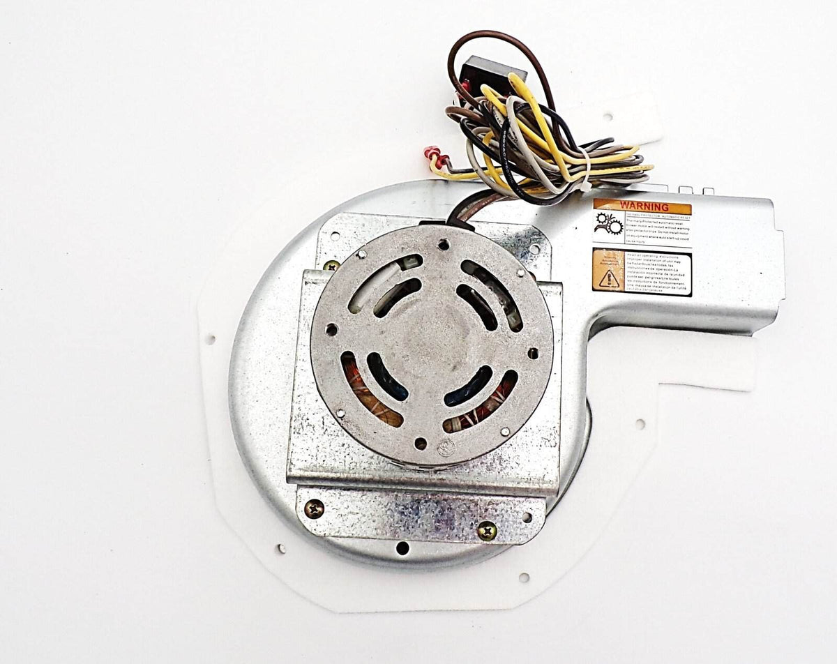 NBK-21380 draft inducer motor - view 4