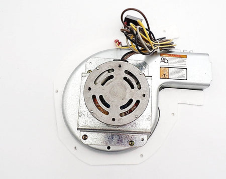 NBK-21380 draft inducer motor - view 4